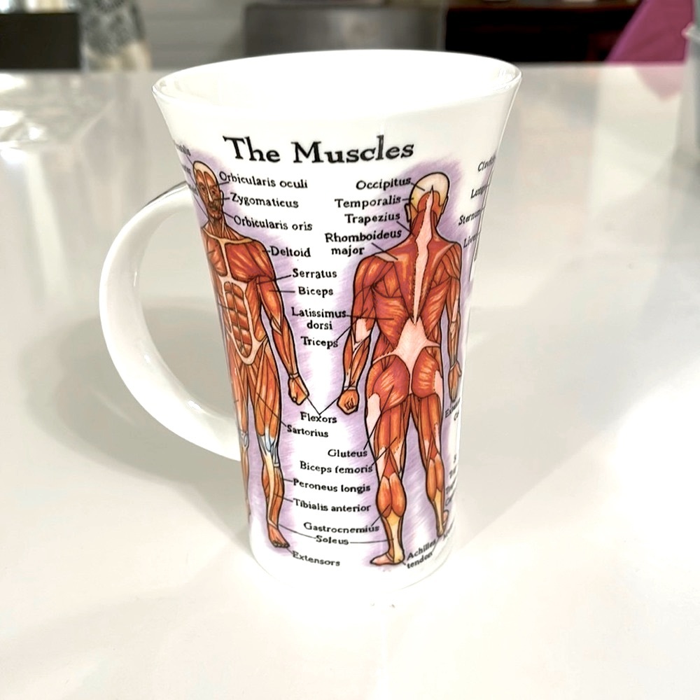 NEW Dunoon Glencoe Bone China Human Body Coffee Cup.